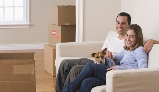 Residential Real Estate Lawyer Legal Tips Pet House