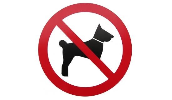 Pet Policie Apartment Real Estate Market Value